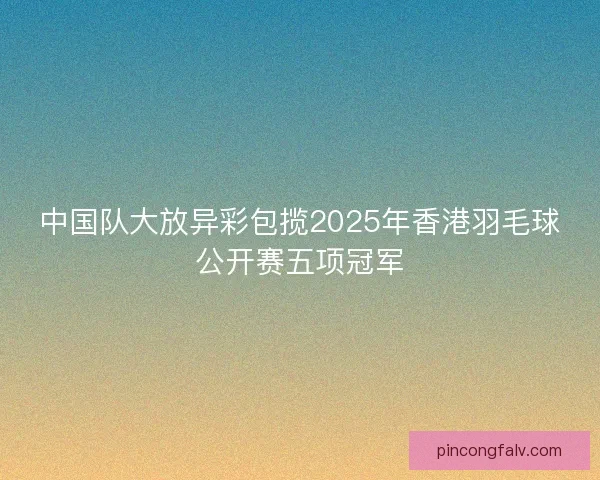 中国队大放异彩包揽2025年香港羽毛球公开赛五项冠军