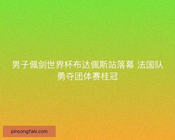 男子佩剑世界杯布达佩斯站落幕 法国队勇夺团体赛桂冠 男子佩剑世界杯布达佩斯站落幕 法国队勇夺团体赛桂冠